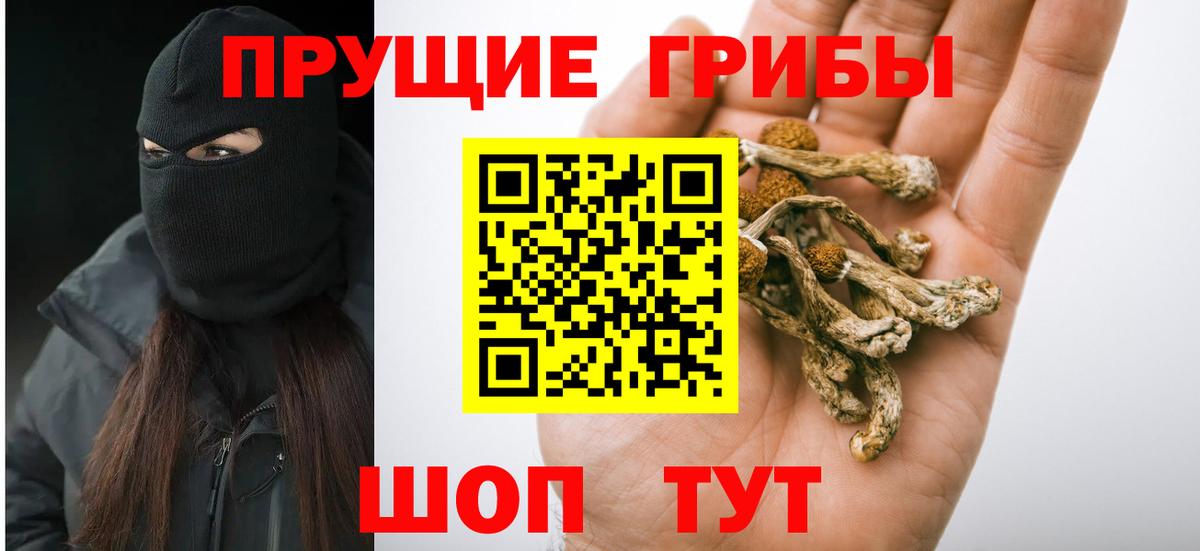 Галлюциногенные грибы прущие грибы Верхняя Пышма