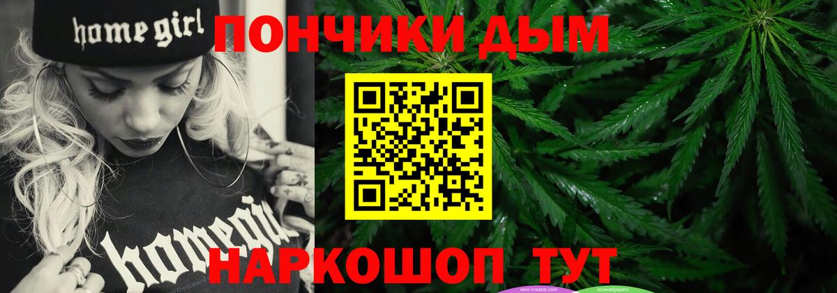 Каннабис планчик Верхняя Пышма