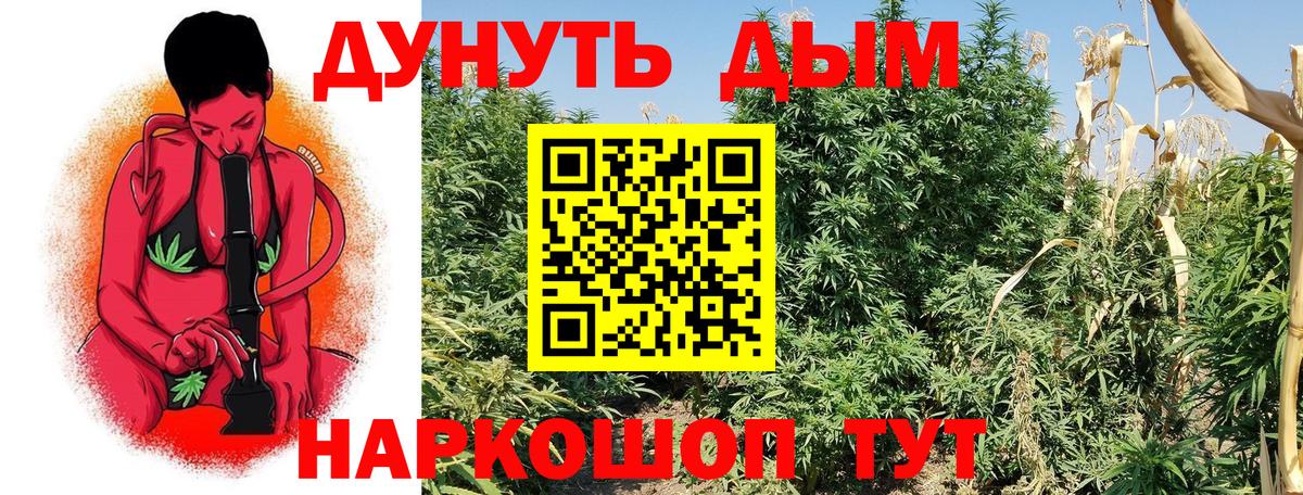 Шишки марихуана AK-47  Вход с VPN  Бошки марихуана Bruce Banner  Верхняя Пышма  Каннабис конопля 